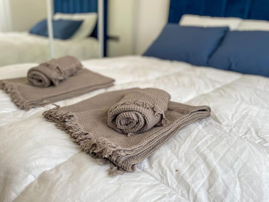 Le Lagon Bleu - Appt Wifi Parking Balcon Le Puy-en-Velay Buitenkant foto