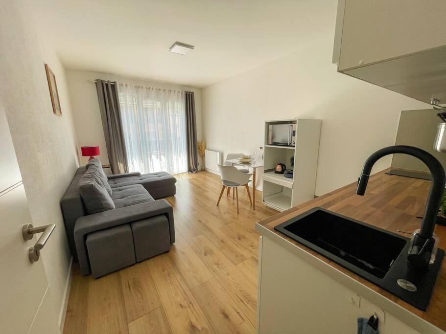 Le Lagon Bleu - Appt Wifi Parking Balcon Le Puy-en-Velay Buitenkant foto