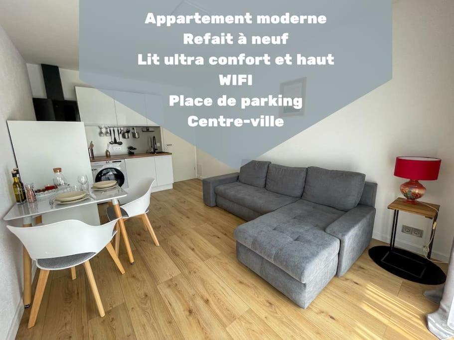 Le Lagon Bleu - Appt Wifi Parking Balcon Le Puy-en-Velay Buitenkant foto